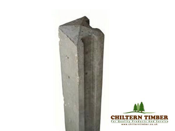 40209