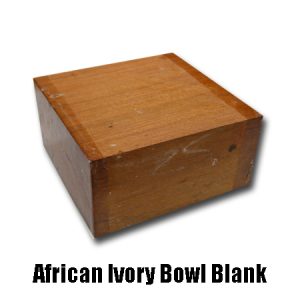 African Ivory Bowl Blank