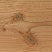 British Larch