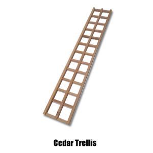 Western Red Cedar Trellis