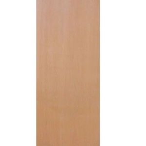 door blank