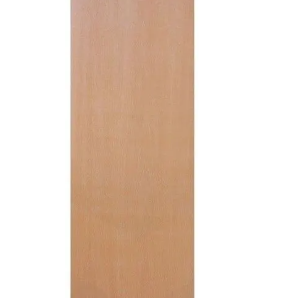 door blank