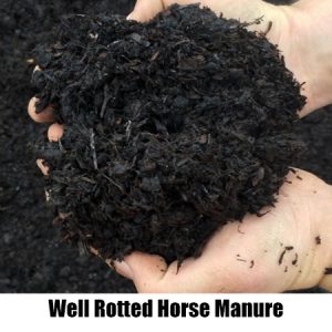 horse manure