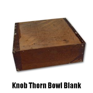 knob thorn bowl blank
