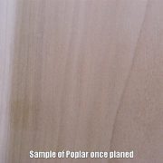 poplar sample swatch