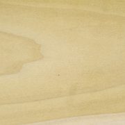 poplar swatch