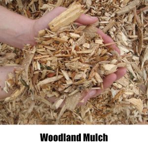 woodland mulch